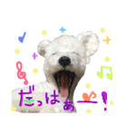 shi.ra.su.（個別スタンプ：35）