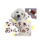 shi.ra.su.（個別スタンプ：38）