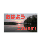 釣り行こうよ！（個別スタンプ：9）