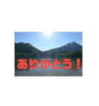 釣り行こうよ！（個別スタンプ：10）