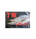 釣り行こうよ！（個別スタンプ：12）