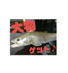 釣り行こうよ！（個別スタンプ：15）