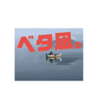 釣り行こうよ！（個別スタンプ：16）
