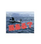 釣り行こうよ！（個別スタンプ：17）