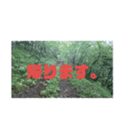 釣り行こうよ！（個別スタンプ：20）