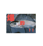 釣り行こうよ！（個別スタンプ：25）