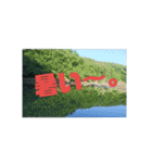 釣り行こうよ！（個別スタンプ：33）