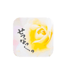 さらに使える！日々彩る、お花のスタンプ。（個別スタンプ：22）