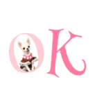 国民の愛犬 おもち（個別スタンプ：2）