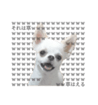 国民の愛犬 おもち（個別スタンプ：27）