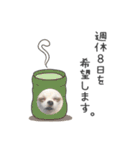 国民の愛犬 おもち（個別スタンプ：30）