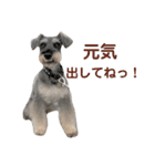 Jack の日常スタンプ（個別スタンプ：14）