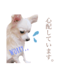 EluとEve 2（個別スタンプ：5）