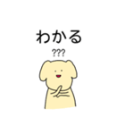 矛盾しているイヌ（個別スタンプ：3）