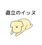 矛盾しているイヌ（個別スタンプ：24）