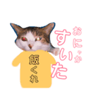 いくらのスタンプ（個別スタンプ：2）