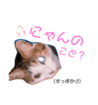 いくらのスタンプ（個別スタンプ：4）