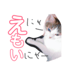 いくらのスタンプ（個別スタンプ：5）