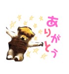 コロ助しゃん（個別スタンプ：25）