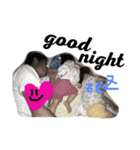 ほうむ・ここね（個別スタンプ：4）
