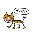 吹き出し！たらこくちびる猫（個別スタンプ：24）