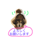 ミックス犬チョコのデカ文字日常（個別スタンプ：4）