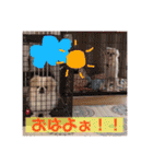 ＊あずきな＊（個別スタンプ：14）