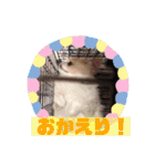 ＊あずきな＊（個別スタンプ：32）