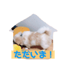 ＊あずきな＊（個別スタンプ：33）