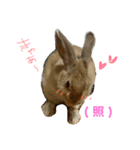 お留守番MIMIᒼᑋªⁿ♥︎（個別スタンプ：1）