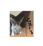 お留守番MIMIᒼᑋªⁿ♥︎（個別スタンプ：2）