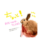 お留守番MIMIᒼᑋªⁿ♥︎（個別スタンプ：4）