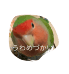 ぴいとろ 1（個別スタンプ：3）