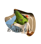 ぴいとろ 1（個別スタンプ：6）