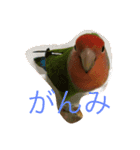 ぴいとろ 1（個別スタンプ：7）