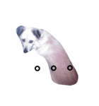おしゃべり犬ピーコちゃん 一言Vr（個別スタンプ：21）