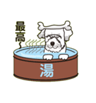 ムクのやんちゃな挨拶（個別スタンプ：24）