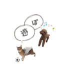 ジョワのスタンプ（個別スタンプ：7）