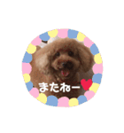 ジョワのスタンプ（個別スタンプ：12）