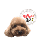 ジョワのスタンプ（個別スタンプ：18）