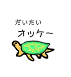 カメ先輩（個別スタンプ：1）