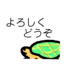 カメ先輩（個別スタンプ：2）
