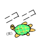 カメ先輩（個別スタンプ：12）