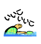 カメ先輩（個別スタンプ：35）