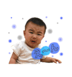 たいがすたんぷ 1（個別スタンプ：2）