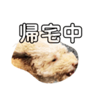 茶力スタンプ（個別スタンプ：9）