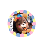 隼樹・みこと・みおん、おまけにババ（個別スタンプ：11）