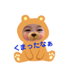 隼樹・みこと・みおん、おまけにババ（個別スタンプ：23）