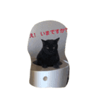 またたびねこ（個別スタンプ：2）