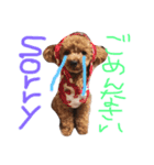 おちあい家のわんたち（個別スタンプ：7）